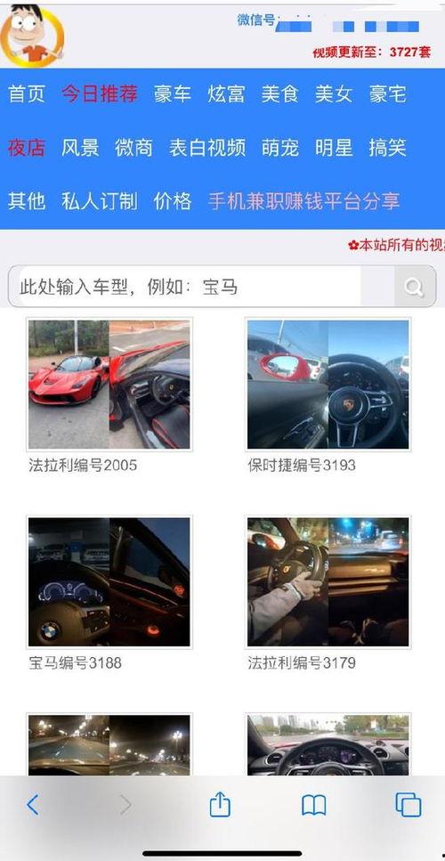 24pao国产成人免视频,国产成人影视的崛起与影响