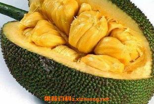 国产菠萝怎么去皮最快视频,视频教你一招最快去皮法