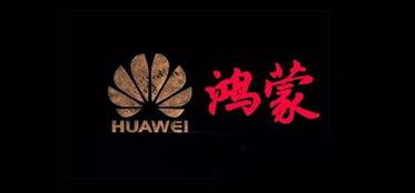 国产手机拍视频好点的软件,盘点几款视频拍摄软件